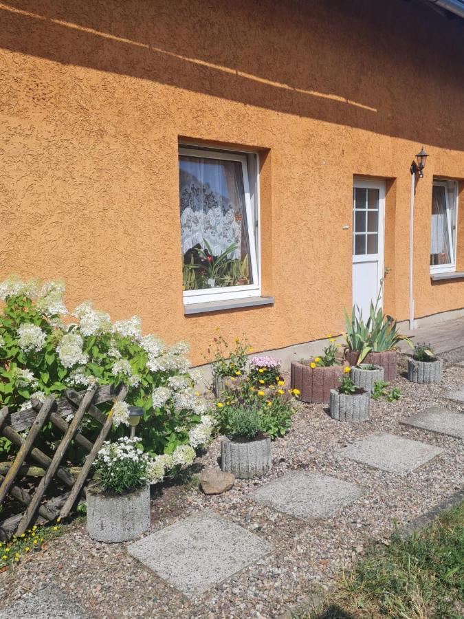 Ferienwohnung Warnitz Blankenburg  Extérieur photo